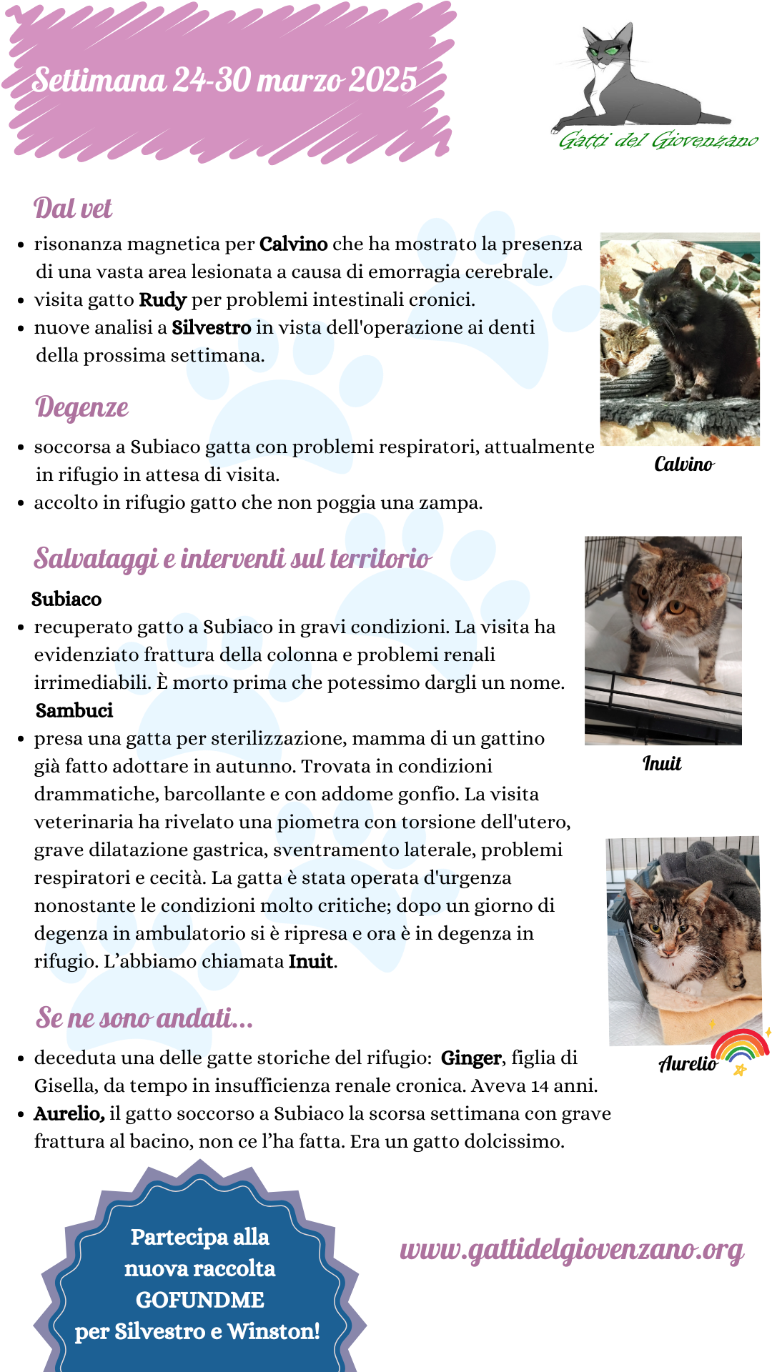 Riassunto attività dell'associazione Gatti del Giovenzano nella settimana dal 24 al 30 marzo 2025.