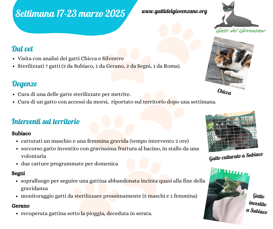 Riassunto attività dell'associazione Gatti del Giovenzano nella settimana dal 17 al 23 marzo 2025.