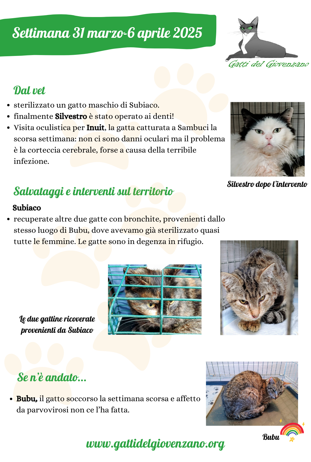 Riassunto attività dell'associazione Gatti del Giovenzano nella settimana dal 31 marzo al 6 aprile 2025.