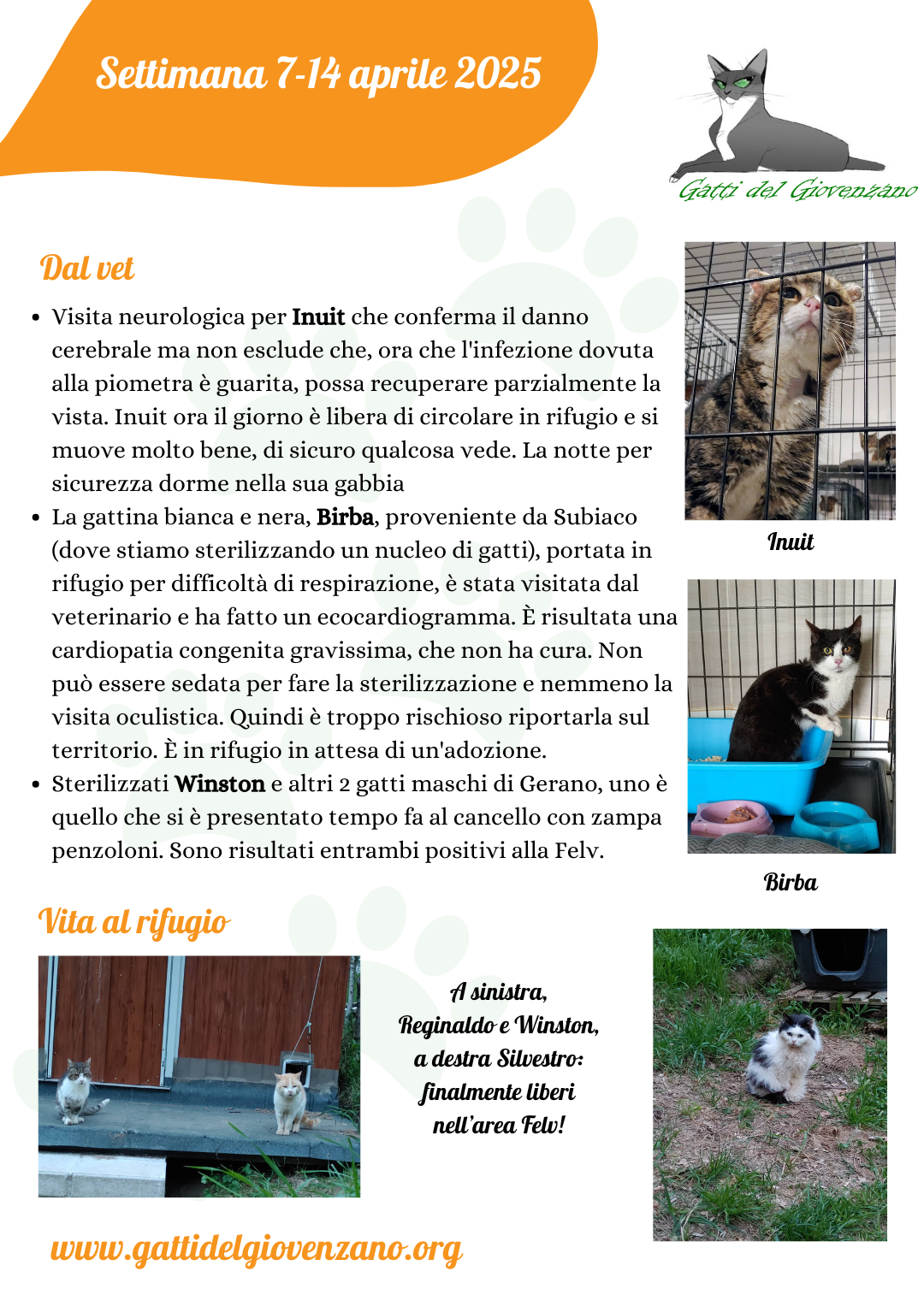 Riassunto attività dell'associazione Gatti del Giovenzano nella settimana dal 7 al 14 aprile 2025.